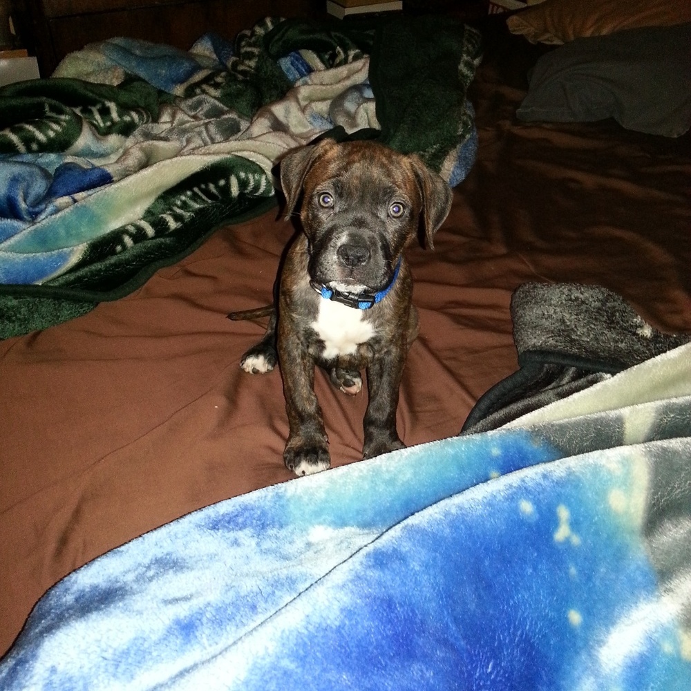 Meet your Posher, Jenny